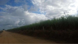 Imóvel 2793937 [''] - ['Zona Rural de Mucuri/BA'] [''] - ['Mucuri']/['BA'] - 1