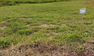 Imóvel 2913237 [''] - ['DATA DE TERRAS Nº 09/D, DA QUADRA Nº 01, DO LOTEAMENTO RESIDENCIAL PINHEIRO'] [''] - ['Terra Boa']/['PR'] - 1