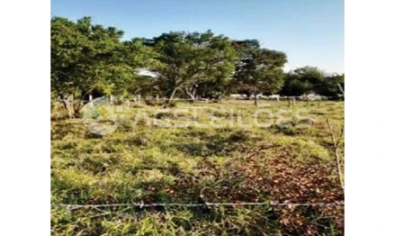 Terreno em Sarapuí, Vila São João, Rua Benedito Vieira do Amaral , s/n - Vila São João Sarapuí - SP, SP. Área: 11364.5m2