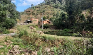 Imóvel 2843437 [''] - ['lugar denominado Pinhal Queimado'] [''] - ['Arvorezinha']/['RS'] - 1