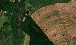 Imóvel 2963037 [''] - ['Gleba 10/parte 2, Sío São Sebasão, Zona Rural, 17167899, Arealva SP'] [''] - ['Arealva']/['SP'] - 1