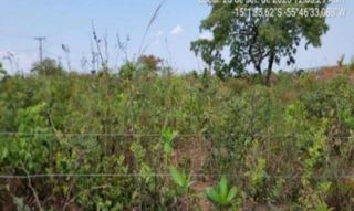 Imóvel 2607937 [''] - ['MT-351, 19, Quadra 03, Água Fria - Condomínio Portal do Xaraés, Chapada Dos Guimarães, MT, 78195-, , Chapada dos Guimarães/MT'] [''] - ['Chapada Dos Guimarães']/['MT'] - 1