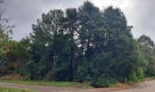 Imóvel 2511937 [''] - ['Rua Tamoios esquina c/ a rua Epitácio Pessoa, Vila Broecker'] ['Broecker'] - ['Carazinho']/['RS'] - 1