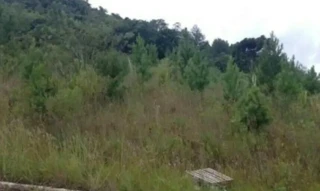 Imóvel 2661037 [''] - ['Rua Júlio Carlos Feldens, s/nº - Lote 06 da Quadra D - Linha Brasil - Nova Petrópolis / RS'] [''] - ['Nova Petrópolis']/['RS'] - 1