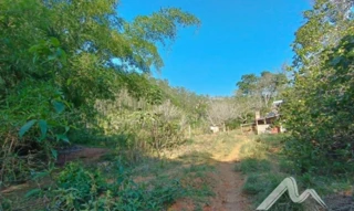 Imóvel 2509437 [''] - ['Fazenda Bom Destino, - Cataguases - MG'] [''] - ['Cataguases']/['MG'] - 1