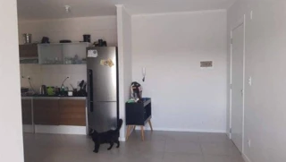 Imóvel 2600138 [''] - ['Avenida Domingos José de Almeida, 3300, Areal, Pelotas, RS'] ['Areal'] - ['Pelotas']/['RS'] - 1