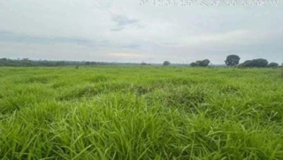 Imóvel 2721338 [''] - ['Nova Bandeirantes, MT'] [''] - ['Nova Bandeirantes']/['MT'] - 1