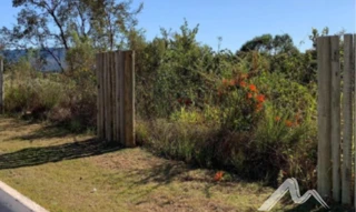 Imóvel 2456738 [''] - ['Alameda da Pimentas'] [''] - ['Brumadinho']/['MG'] - 1