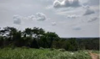 Imóvel 2868238 [''] - ['Ramal Bela Vista, Floresta Sul, N. C. Nova Empresa'] [''] - ['Rio Branco']/['AC'] - 1