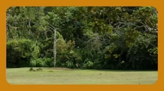 Imóvel 2645838 [''] - ['Fazenda Santa Rita do Bracuí'] ['Santa Rita do Bracuí'] - ['Angra Dos Reis']/['RJ'] - 1