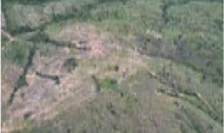 Imóvel 2970938 [''] - ['Fazenda Columbia, distrito de Garapuava, UNAI - MG, CEP 38.610-000'] [''] - ['Unaí']/['MG'] - 1