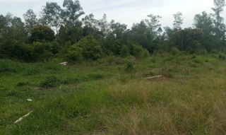 Imóvel 2908338 [''] - ['Área de Terras, situada em RUA NOVA, Pesqueiro, distrito de Montenegro, zona rural, Estado do Rio Grande do Sul'] ['Centenário'] - ['Montenegro']/['RS'] - 1