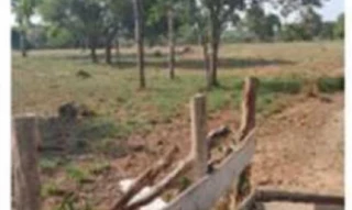 Imóvel 2995638 [''] - ['Loteamento Boa Esperança, parte do Lote 34,, zona rural - Presidente Kennedy - TO'] [''] - ['Presidente Kennedy']/['TO'] - 1