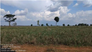 Imóvel 2664038 [''] - ['UM LOTE DE TERRAS SOB Nº 29, COM A ÁREA DE 12,10 HA, DA SUBDIVISÃO DA GLEBA MASSAPÉ 2'] [''] - ['São José Do Rio Claro']/['MT'] - 1