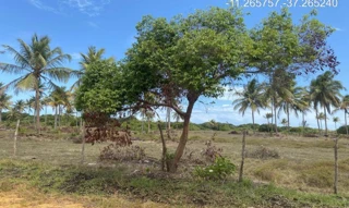 Imóvel 2275438 ['IDR184670'] - ["Rodovia Camilo Calazans de Magalhães (Estrada do Abais), s/n, Quadra 72, Lote 24, Loteamento Vila Rica do Abais, Itaporanga D'ajuda, SE, 49120-000"] [''] - ["Itaporanga D'Ajuda"]/['SE'] - 1