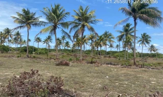 Imóvel 2275438 ['IDR184670'] - ["Rodovia Camilo Calazans de Magalhães (Estrada do Abais), s/n, Quadra 72, Lote 24, Loteamento Vila Rica do Abais, Itaporanga D'ajuda, SE, 49120-000"] [''] - ["Itaporanga D'Ajuda"]/['SE'] - 1