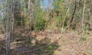 Imóvel 2568838 [''] - ['Estrada 36, Loteamento Rural Eldorado - 4ª Parte'] [''] - ['Eldorado Do Sul']/['RS'] - 1