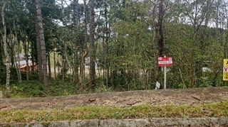 Imóvel 2504138 [''] - ['Rua Bosque das Coníferas, Linha Imperial'] [''] - ['Nova Petrópolis']/['RS'] - 1
