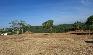 Imóvel 2867538 [''] - ['Fazenda Ribeirão Grande, s/n, Estrada Vicinal de Sítios Pinhalão, Tomazina/PR'] [''] - ['Tomazina']/['PR'] - 1