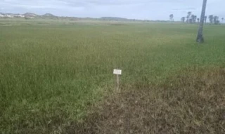 Imóvel 2483138 [''] - ["Avenida Q - Quadra 85, lotes 03 e 04, Itaporanga D'Ajuda,SE"] [''] - ["Itaporanga D'Ajuda"]/['SE'] - 1