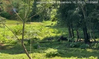 Imóvel 2577338 [''] - ['LOTE RURAL N° 38A-B, PERÍMETRO K-10, FAZENDA BRITÂNIA'] [''] - ['Pato Bragado']/['PR'] - 1