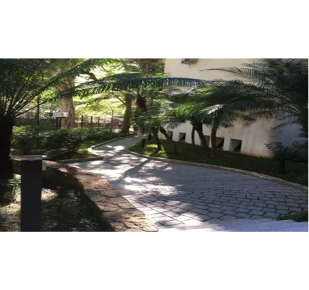 Apartamento em São Paulo, Morumby, Rua Américo Alves Pereira Filho, 220, SP. Área: 296.35m2