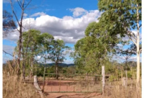 Imóvel 3014139 [''] - ['FAZENDA DOIS IRMÃOS desmembrada dos lote nºs 15 e 14, do LOTEAMENTO PEQUIZEIRO, GLEBA 07, FOLHA 01, com a área de 67,5787 hectares (sessenta e sete hectares, cinquenta e sete ares e oitenta e sete centiares)'] [''] - ['Colméia']/['TO'] - 1