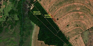 Imóvel 2963039 [''] - ['Gleba 11 - parcela remanescente, Sío São Sebasão, Zona Rural, 17167899, Arealva/SP'] [''] - ['Arealva']/['SP'] - 1