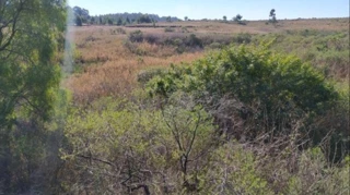 Imóvel 2393939 [''] - ['Estrada Federal BR-293 (KM 136,5)'] [''] - ['Candiota']/['RS'] - 1