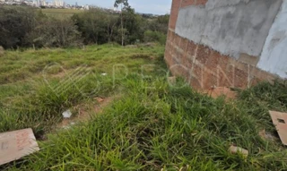 Imóvel 2979539 [''] - ['Rua Carolina Pavan Martin, Lote 11 - Quadra Z - Residencial Plaza Martin Botucatu - SP'] ['Parque Res. Primavera'] - ['Botucatu']/['SP'] - 1