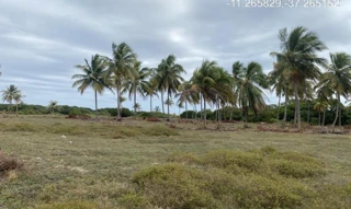 Imóvel 2275439 ['IDR184602'] - ["Rua QZ, s/n, Quadra 68, Lote 11, Loteamento Vila Rica do Abais, Itaporanga D'Ajuda, SE, 49120-000"] [''] - ["Itaporanga D'Ajuda"]/['SE'] - 1