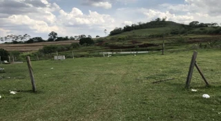 Imóvel 2919839 [''] - ['Fazenda Três Bocas ou Barras deste Município e Comarca de Ibiporã'] [''] - ['Ibiporã']/['PR'] - 1