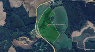 Imóvel 2604939 [''] - ['Campina dos Pupos'] [''] - ['Ortigueira']/['PR'] - 1