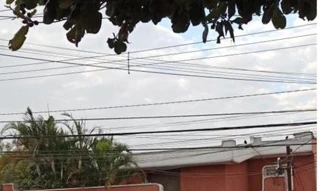 Imóvel 2639739 [''] - ['Rua Sebastião de Andrade, nº 350, Vila Matilde'] ['Vila Matilde'] - ['São Paulo']/['SP'] - 1