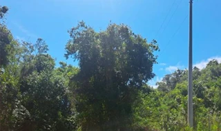 Imóvel 2501639 [''] - ['Nao informado Nao informado Linha 1o Seccao Rio Burati'] [''] - ['Bento Gonçalves']/['RS'] - 1