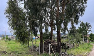 Imóvel 2609439 [''] - ['Rua Tradicao SN (Lote 16)'] [''] - ['Cambará do Sul']/['RS'] - 1