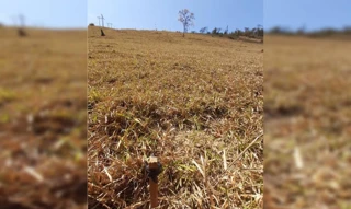 Imóvel 2600839 [''] - ['Rua E, - Loteamento “D. Zinha I Inhapim - MG'] [''] - ['Inhapim']/['MG'] - 1