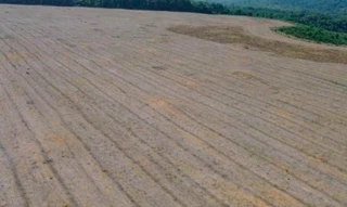 Imóvel 2596639 [''] - ['Nao informado Nao informado Lote 29 da Gleba Tracoa, Fazenda Boa Vista'] [''] - ['Rondon Do Pará']/['PA'] - 1