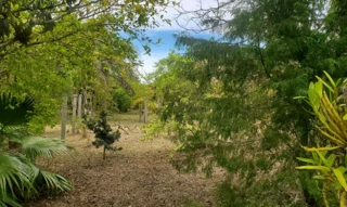Imóvel 3051839 [''] - ['Beco dos Gutterres, 2565- Unidade Atutônoma D 3 - Condomínio Maria Helena'] ['Sítio São José'] - ['Viamão']/['RS'] - 1