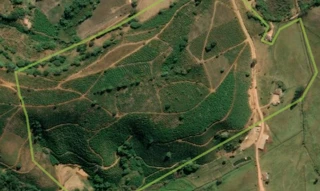 Imóvel 2664039 [''] - ['Córrego Boa Vista, zona rural de São Simão do Rio Preto'] [''] - ['Simonésia']/['MG'] - 1