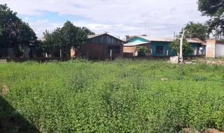 Imóvel 2609039 [''] - ['Rua Pedro Franco Lima esquina com a Rua Rubem Saraiva Vieira, n'] ['Roberto Cardoso'] - ['Butiá']/['RS'] - 1