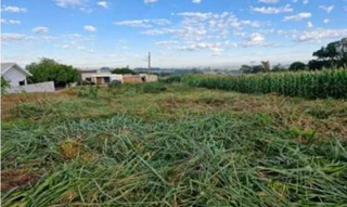 Imóvel 2712439 [''] - ['Loteamento Villa Real, Perímetro Urbano do Município de Palotina'] [''] - ['Palotina']/['PR'] - 1