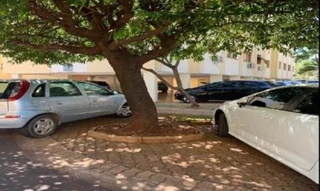 Imóvel 2633740 [''] - ['Rua Arnaldo Vitaliano n 881'] ['Jardim Palma Travassos'] - ['Ribeirão Preto']/['SP'] - 1