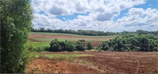 Imóvel 2971640 [''] - ['Estrada do Refugiado, 213, 5º Distrito, Refugiado, Vacaria/RS'] [''] - ['Vacaria']/['RS'] - 1