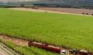 Imóvel 2544240 [''] - ['Rua Doutor Silvio Bastos Tavares, SN'] [''] - ['Campos Dos Goytacazes']/['RJ'] - 1