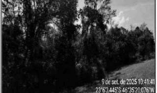 Imóvel 2593340 ['10275689'] - ['RODOVIA D. PEDRO I,N. 00 ÁREA B, PARTE DA GLEBA 06, MATO DENTRO - CEP: 12954-260, ATIBAIA - SAO PAULO'] [''] - ['Atibaia']/['SP'] - 1