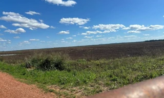 Imóvel 3063440 [''] - ['Fazenda Pouso Alegre'] [''] - ['Miranda']/['MS'] - 1