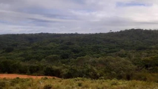 Imóvel 2393940 [''] - ['SÍTIO - Gleba 17, nº 08, 4 Eixo, entre Linhas 6'] [''] - ['Pimenteiras Do Oeste']/['RO'] - 1