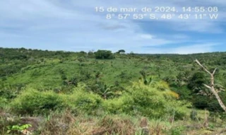 Imóvel 2995640 [''] - ['Faz. Santa Maria II, parte do Lote nº 54, do Loteamento Serrinha,, zona rural - Colméia - TO'] [''] - ['Colméia']/['TO'] - 1