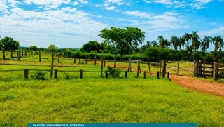 Imóvel 2864840 [''] - ['Fazenda el Shaday Vista Alegre do Corrente, Itarumã, GO'] [''] - ['Itarumã']/['GO'] - 1
